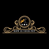 How is Your PET logo - Similar company to E-Team Learnings