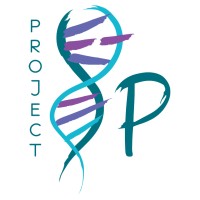 Project 8P Foundation