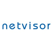 Netvisor International logo - Similar company to Widigix - Digital Marketing Agency