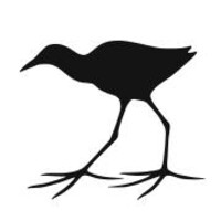 Jacana Media logo - Similar company to Strategycfo