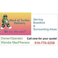 Herd of Turtles Delivery logo - Similar company to Luxe Recess Llc