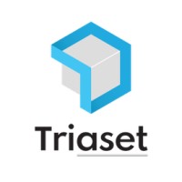 Triaset logo - Similar company to Mize Software Solutions Private Limited