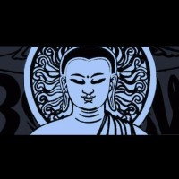 Brown Buddha Llc
