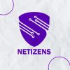 Netizens Team logo - Similar company to Techno Map