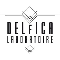 DELFICA logo - Similar company to O+ Graphisme