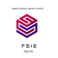 FRANCE SENEGAL IMPORT EXPORT logo - Similar company to Synchro