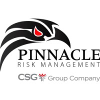 Pinnacle Risk Management (Pty) Ltd. logo - Similar company to True Security Solutions Ltd