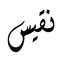 Naqees logo - Similar company to Nukta
