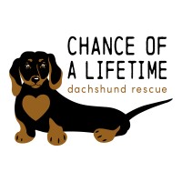 Chance of A Lifetime Dachshund Rescue logo - Similar company to Soulbeing