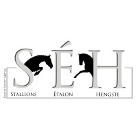 Stallions.Etalons.Hengste logo - Similar company to Equideal.Io