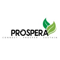 Prospera Consulting logo - Similar company to Gamma Superflow Institute