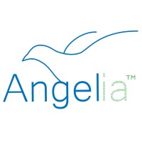 Angelia logo - Similar company to Clerity