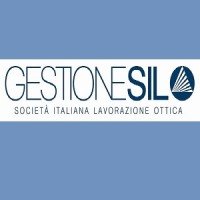 GESTIONE SILO logo - Similar company to Emm&Mme Informatica