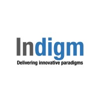 Indigm Inc logo - Similar company to Silicon Squadron