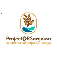 ProjectQRSargasso logo - Similar company to Bime Analytics