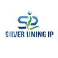 SILVER LINING IP logo - Similar company to Intent Ip