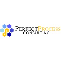 Perfect Process Consulting