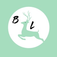 BL Fashion Metal Jewelry Co.,LTD logo - Similar company to Shenzhen Microphone Technology Co., Ltd.