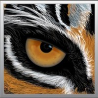 Tigerbrain Engineering, Inc. logo - Similar company to Martell Construction