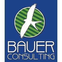 BAUER CONSULTING LLC logo - Similar company to Bauer Consulting