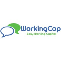 WorkingCap Pty Ltd logo - Similar company to The Security Hub