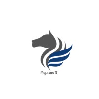 Pegasus II Yacht logo - Similar company to F Boat Production Center