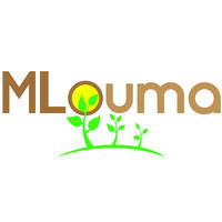 mLouma logo - Similar company to Bayseddo