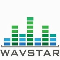 WAVSTAR LLC logo - Similar company to Knotsimpler, Inc.