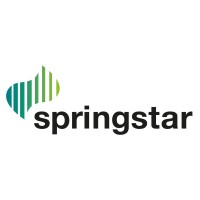 Springstar logo - Similar company to Knowledge Markets