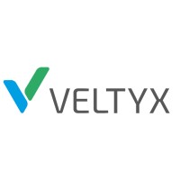 Veltyx AG logo - Similar company to Isecng