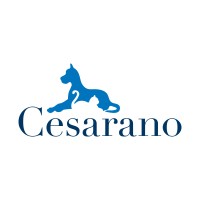 Cesarano s.r.l. logo - Similar company to Stylla