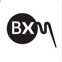 BuildX Multimedia logo - Similar company to Notex Courier And Logistics
