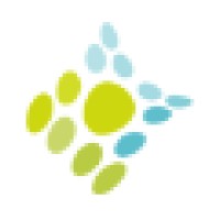 Risk Alternatives LLC