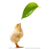Lachance Poultry  Nutrition & Health logo - Similar company to Arshine Lifescience