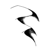 Dune Consultants logo - Similar company to Makofisc