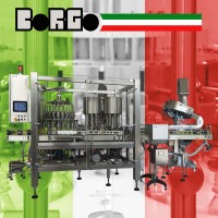 Borgo Costruzioni Meccaniche Srl logo - Similar company to Mb Sistemi Srl