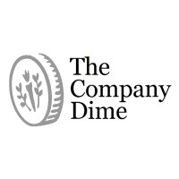 The Company Dime logo - Similar company to Visual Approach Analytics