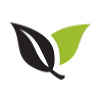 Vineyard Church Of Stafford / Sugar Land