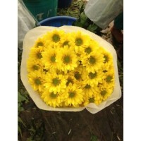 Aviva Fresh Produce logo - Similar company to Poly Sac, Inc.