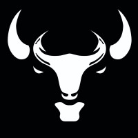 Bison Performance logo - Similar company to Maester Solutions