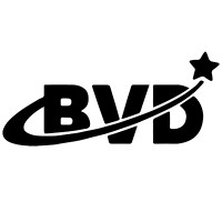 Bright Vision Distribution LLC logo - Similar company to Chicks Gold Inc.