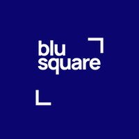 Blu Square Consulting Ltd logo - Similar company to Zebrametrics