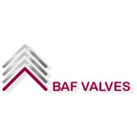 BAF Valves logo - Similar company to Electrical Motor