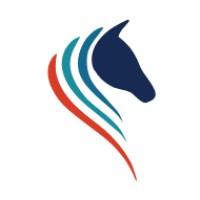BuzzBronco 🍁 Digital Accessibility logo - Similar company to Shifting Shap3S