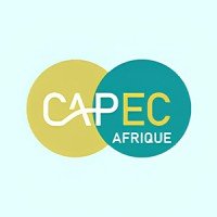 CAPEC Afrique logo - Similar company to Mécanique Services Conception
