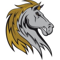 Saugerties Stallions logo - Similar company to Vercee