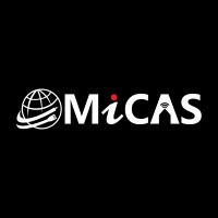 MICAS logo - Similar company to Mdm Data Systems