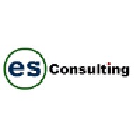 ES Consulting Inc. logo - Similar company to Meta4Sight
