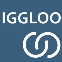 Iggloo Insights logo - Similar company to Infinitylab