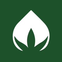 PangoCBD logo - Similar company to Adtarget Comercialização E Gestão De Mídia